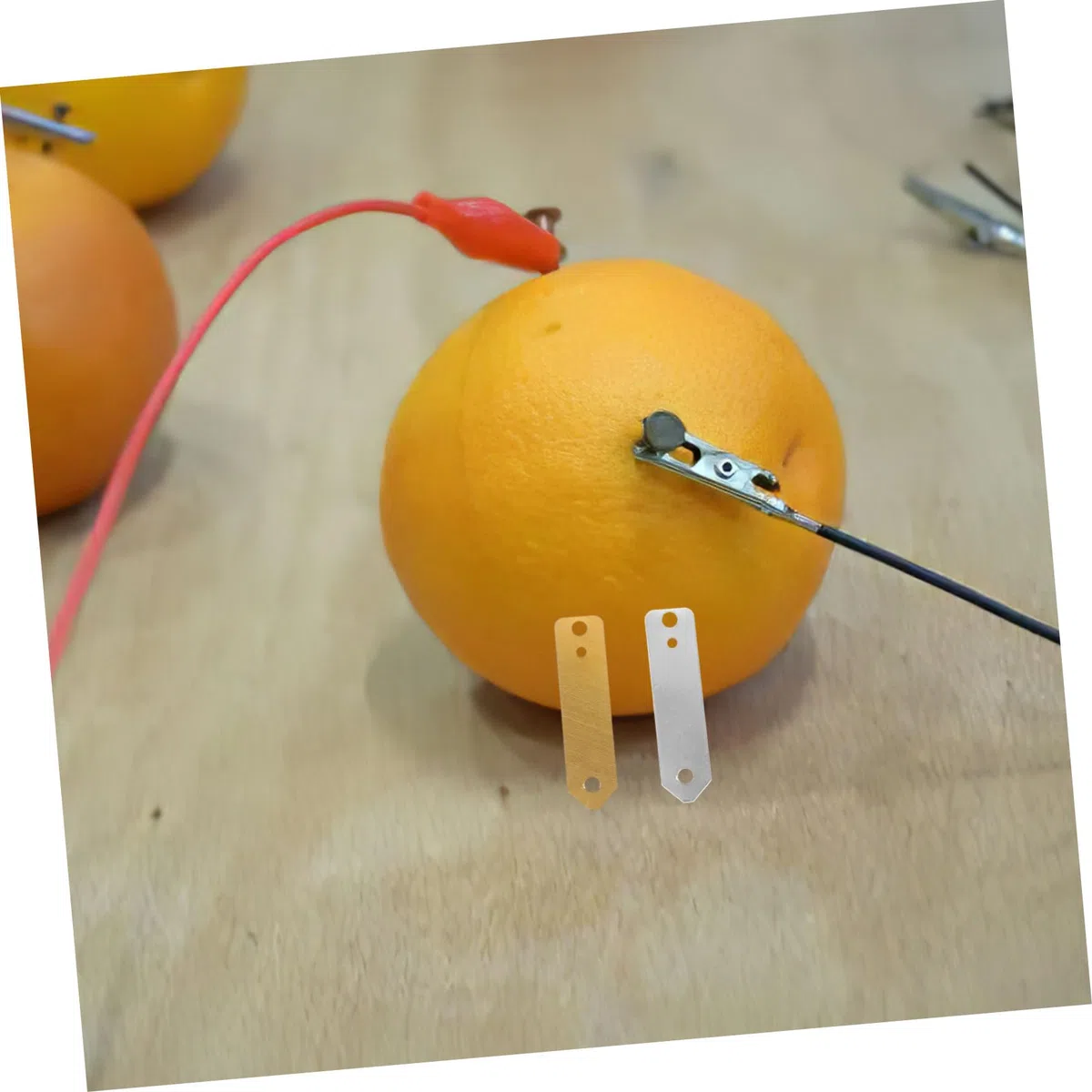 SOLUSTRE 50piezas Anodos De y Zinc Para Experimentos De Batería De Frutas Resistentes Para Electricidad y