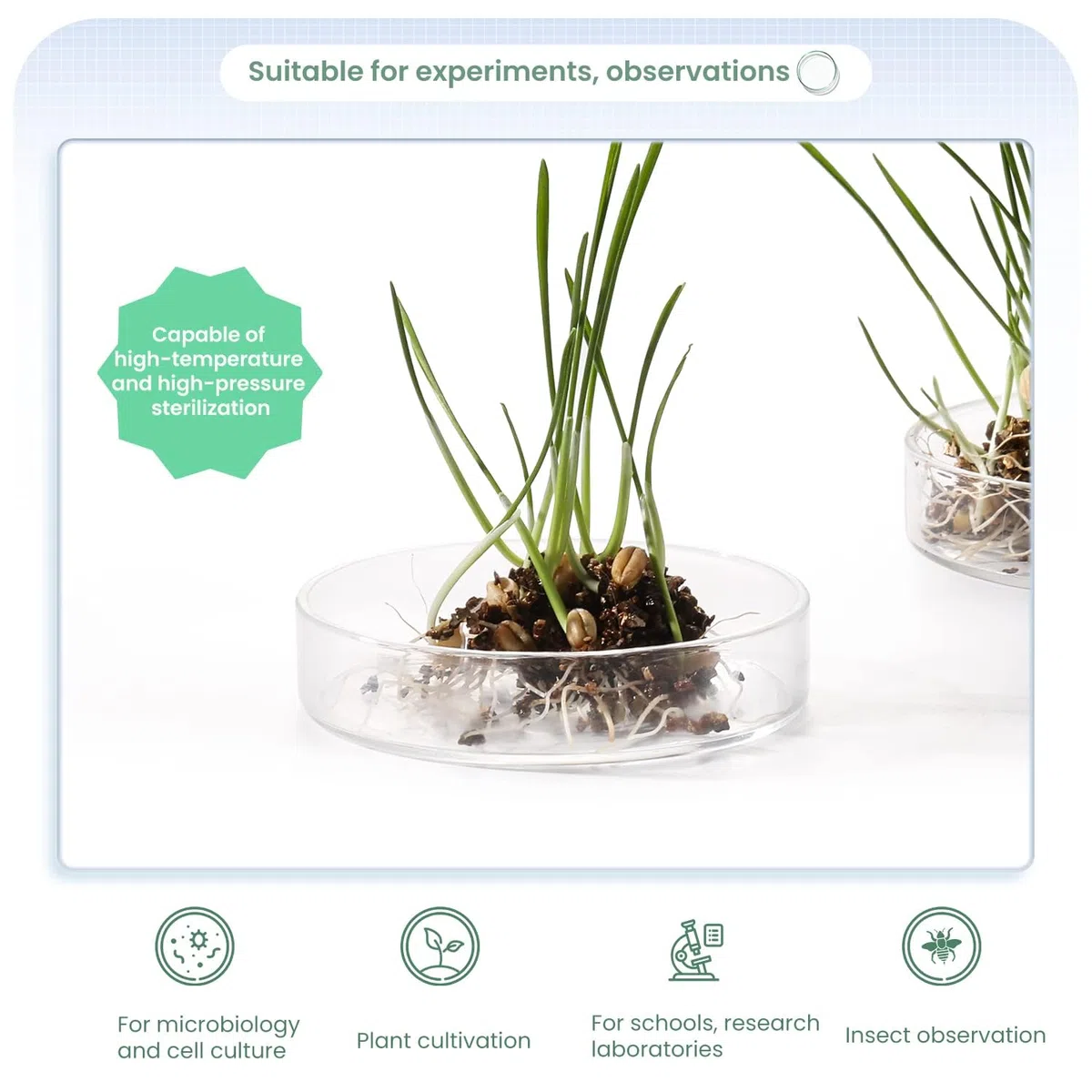 Huanyu 90mm Placas de Petri con tapas 5 unidades Placa de Petri de vidrio de borosilicato alto para cultivo bacteriano, para experimentos científicos escolares en laboratorios de moldes