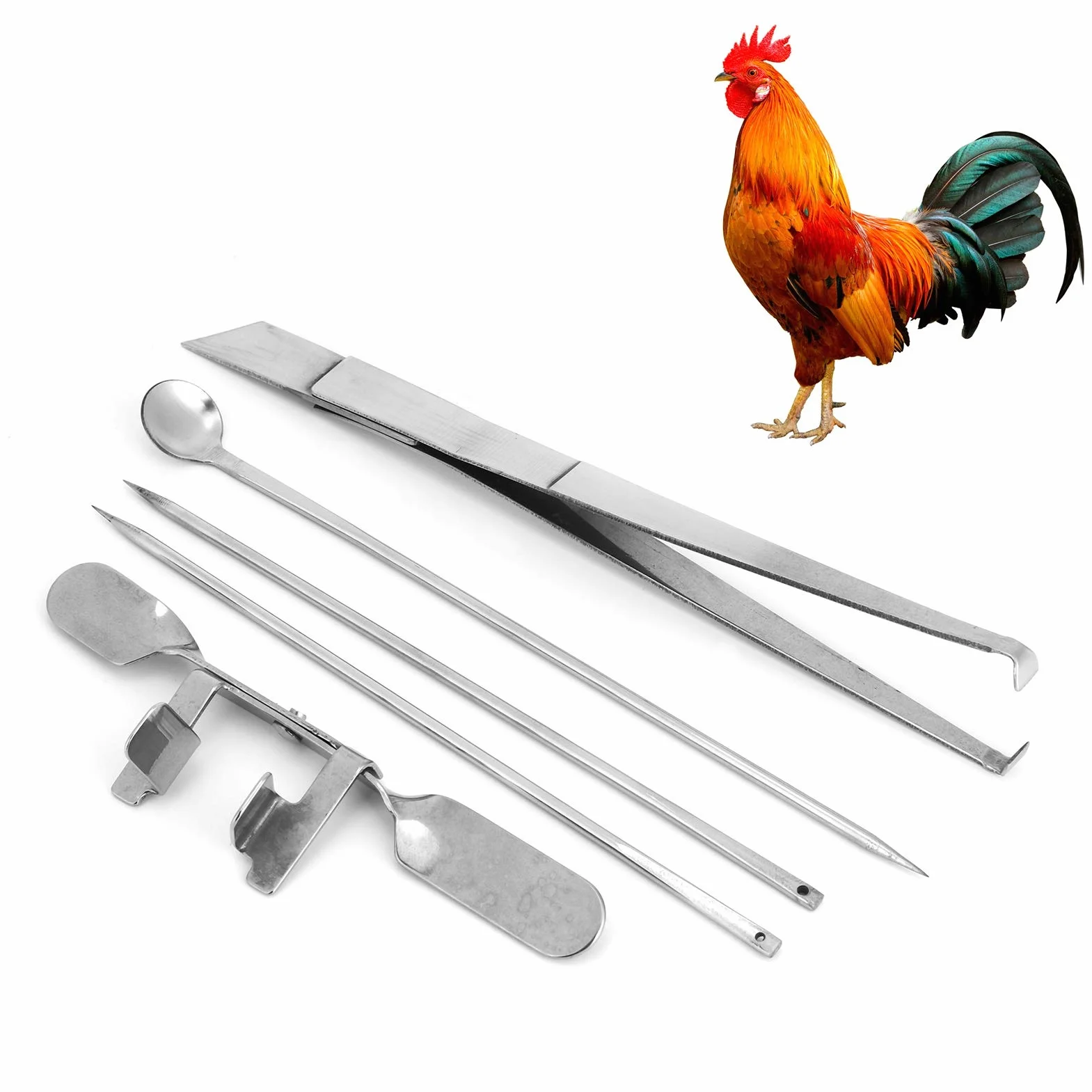 Kit De Herramientas De Acero Inoxidable Para Capón De Pollo, 5 Uds., Instrumento Veterinario Para Granjas Avícolas Para Castración De Pollos, Herramientas Para Granjas Avícolas