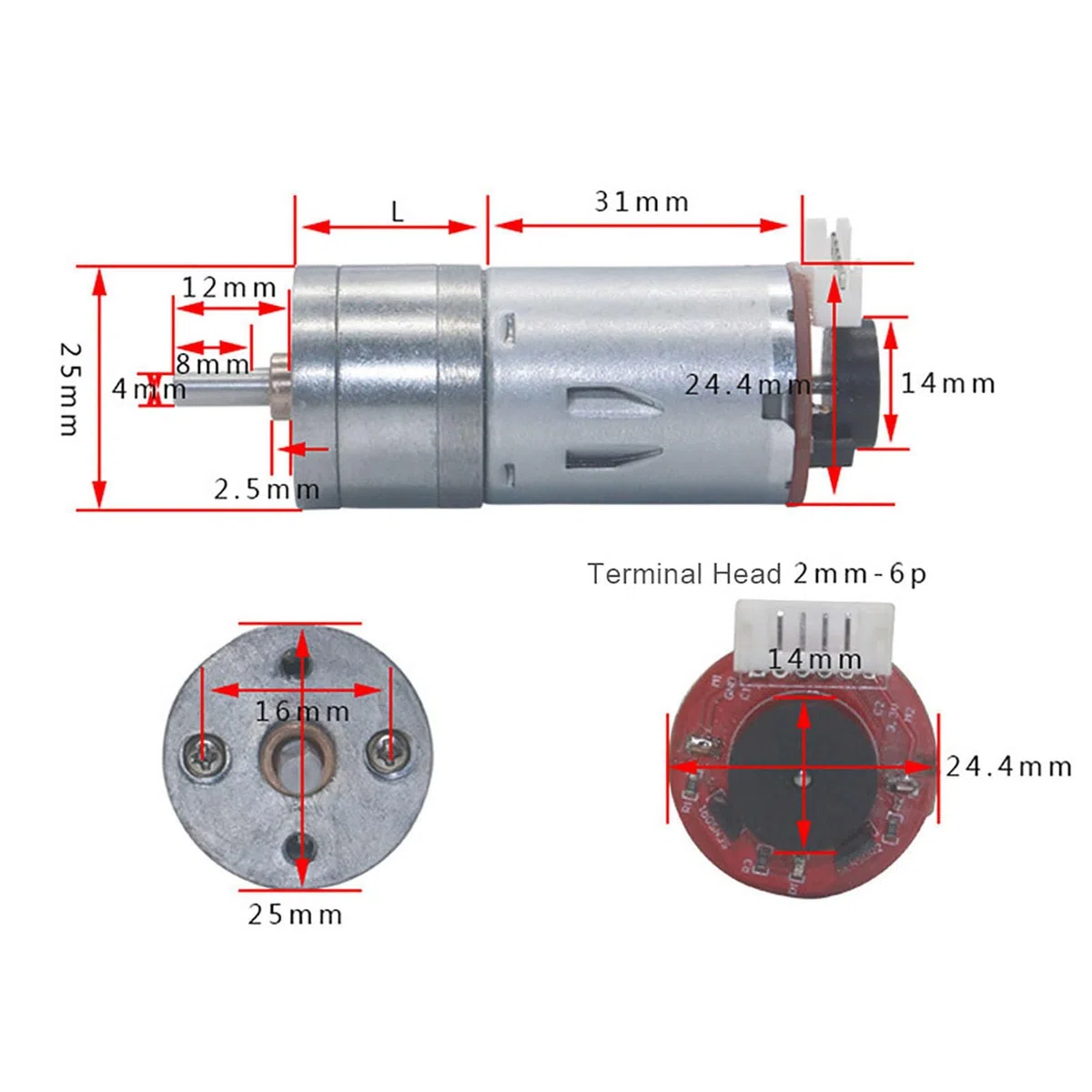 Yosoo Health Gear Motor de Engranaje con Codificador de 12V CC, 500 RPM, 65 mm, con Soporte de Montaje para Robot DIY