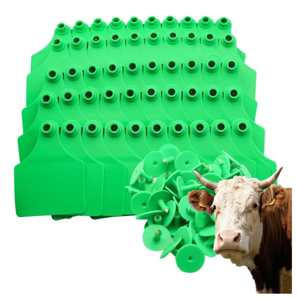 Crotales en blanco para orejas de ganado, tamaño grande, 100 piezas, tarjetas de identificación de ganado, crotales para orejas de ganado para ganado, caballos, cerdos y cabras verde 100pcs
