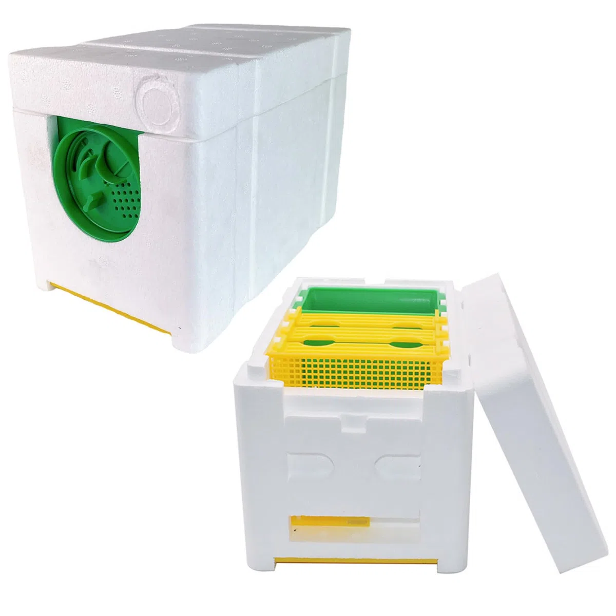 Cajas de Abejas con alimentador de Agua, Caja de Colmena de Abejas de 3 Cuadros con Puerta de cuadrícula, Caja de Bee Mini Caja de Espuma para Abejas, Suministros de Colmena de Abejas para el Ap
