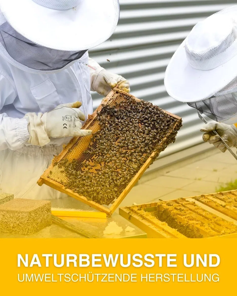 Pan de abeja del Norte Perga 100 g – Producto natural de la casa Imkerei Sievers – Perga polen de abeja – rico en proteínas vitaminas, minerales, pan de abeja para comer – polen de flores
