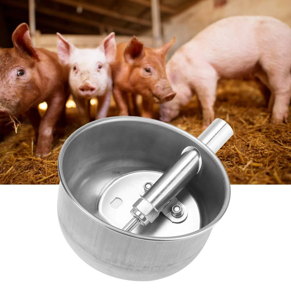 Cuenco de Agua Potable de Cerdo de acero Inoxidable, Equipo de alimentación de lechones para bebederos automáticos