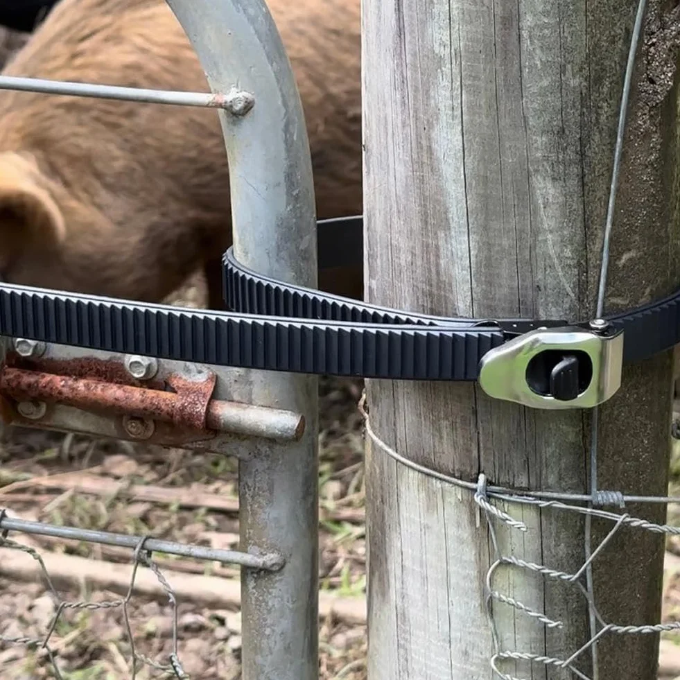 4 correas de bloqueo de agarre resistentes, correas de agarre de trinquete multipurpos ajustables 2026, correa de bloqueo reutilizable con hebilla de metal para asegurar cualquier cosa