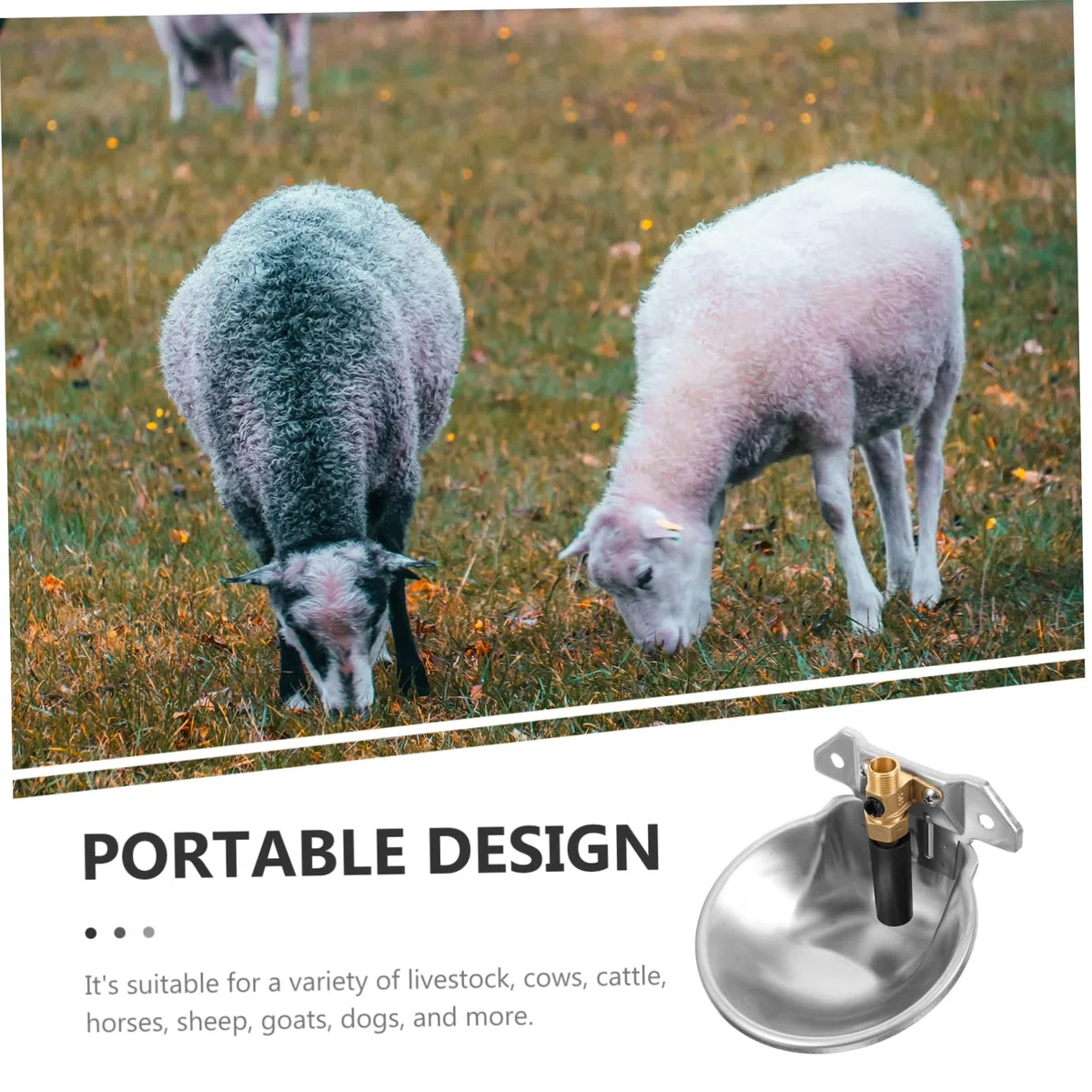 Bebederos Automáticos para Gallinas Capacidad Grande de Acero Inoxidable y Borde Redondo para Granjas que Garantizan Seguridad y Resistencia al Óxido