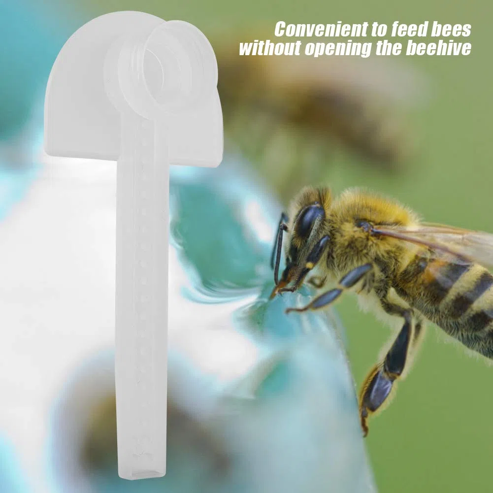 5PCS Alimentador de Abejas Dispensador de Alimentación de Líquido de Colmena Tazón de Fuente de Bebida Equipo de Apicultura Dispensador de Agua para Apicultura para Alimentador de Entrada de Abejas