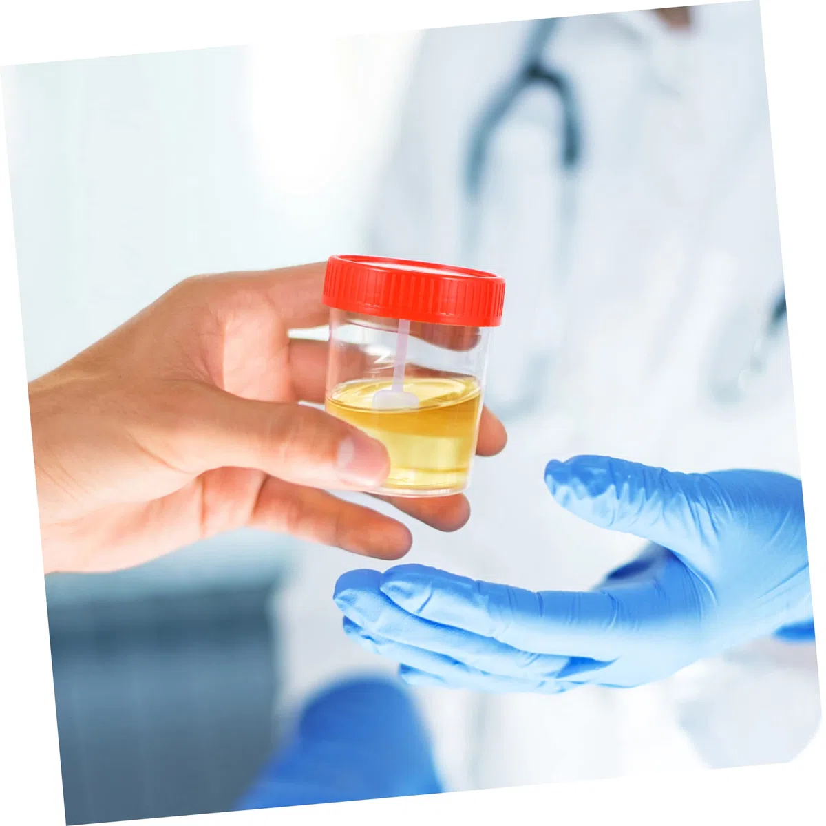 30 piezas muestra tapa prueba botellas frascos de dosis lata plástico recipiente plástico vasos de recipientes para muestras de pp rojo