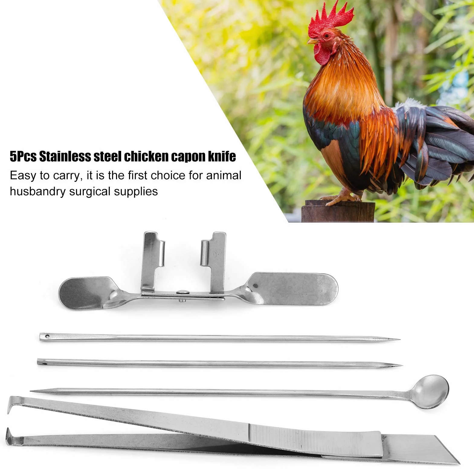 Kit De Herramientas De Acero Inoxidable Para Capón De Pollo, 5 Uds., Instrumento Veterinario Para Granjas Avícolas Para Castración De Pollos, Herramientas Para Granjas Avícolas