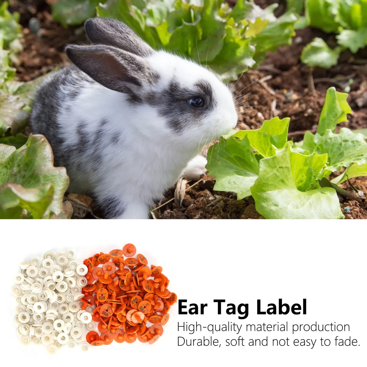 Fdit Crotal de Oreja de Animal para Conejos, Visones y Otros Animales Pequeños, Crotal de Oreja de Conejo Numerado, Etiqueta de Identificación de Animales con Número único Visón y