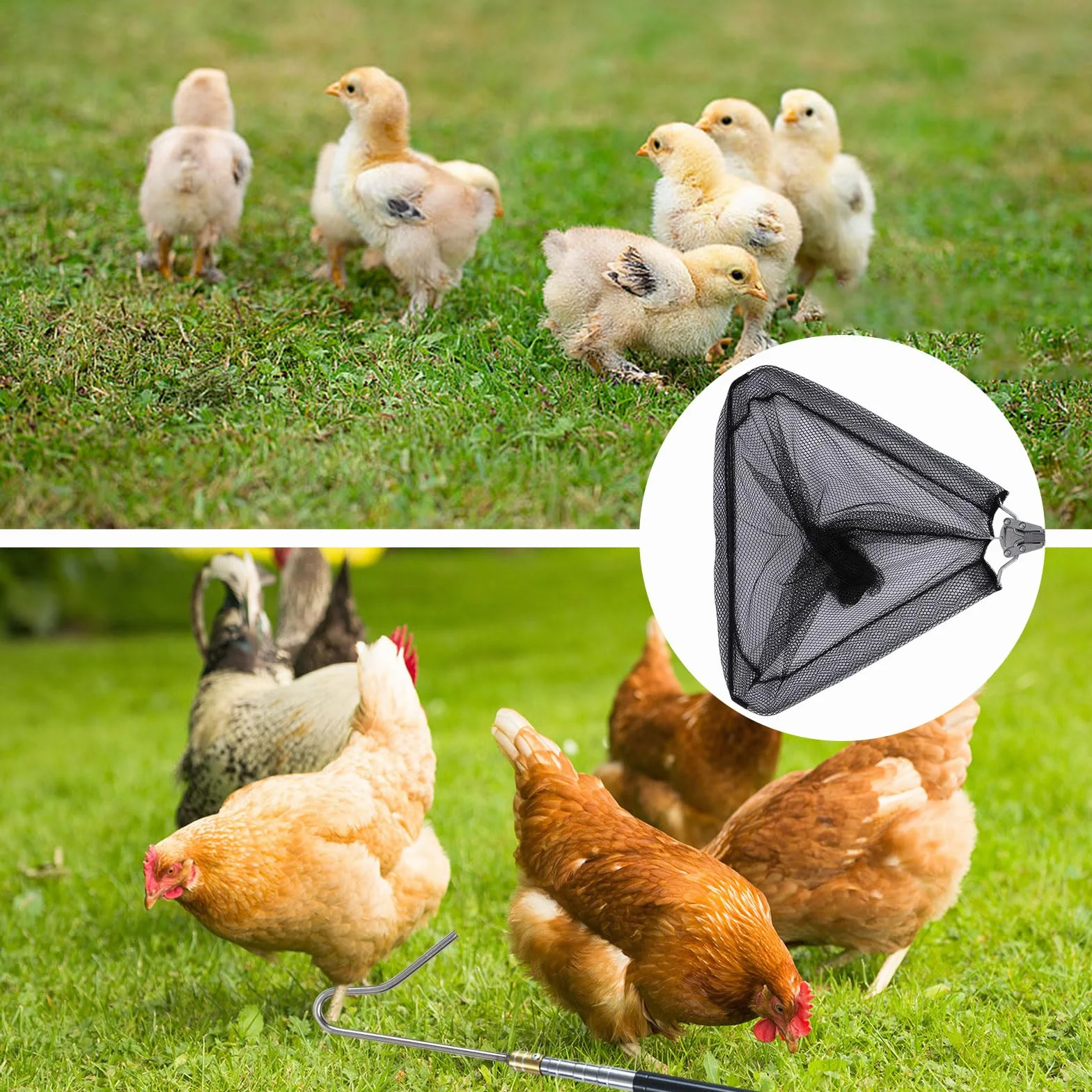 Gancho para las piernas retráctil de acero inoxidable 2 en 1, red de captura para aves de corral, atrapador de pájaros, pescado, pesca telescópica para pollo, pavo, ganso, pato