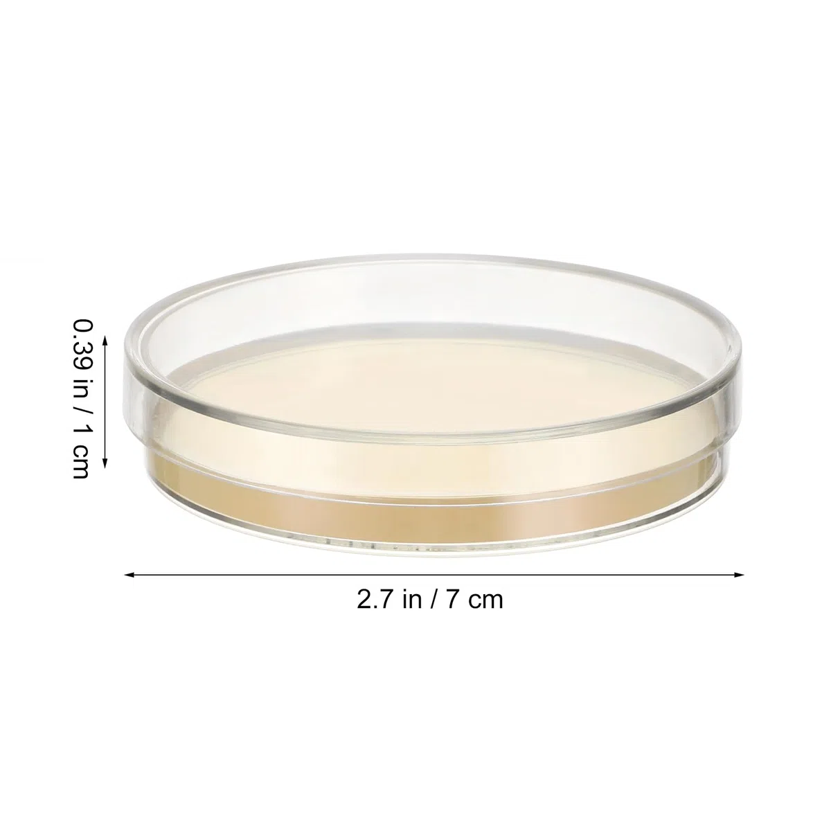 10 Piezas Para Proyectos De Papa Cultivo Prevertido De Siembra De Dextrosa Con Platos De Feria De Ciencias Suministros De Agar Temático De Investigación Biológica