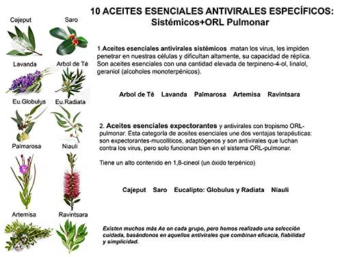 SPRAY ANTIVIRICO DESINFECTANTE GARRAFA PET 3L 100% NATURAL-10 Aceites Esenciales.Limpiador Hidroalcohólico 100% Eficaz. Piel, textil, Multisuperficie.